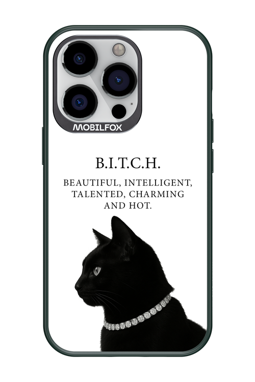 B. i. t. c. h. - Apple iPhone 13 Pro