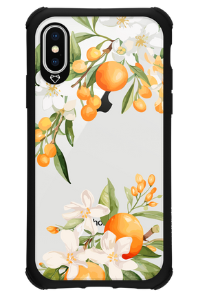 Amalfi Orange - Apple iPhone X