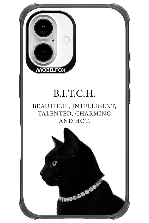 B. i. t. c. h. - Apple iPhone 16