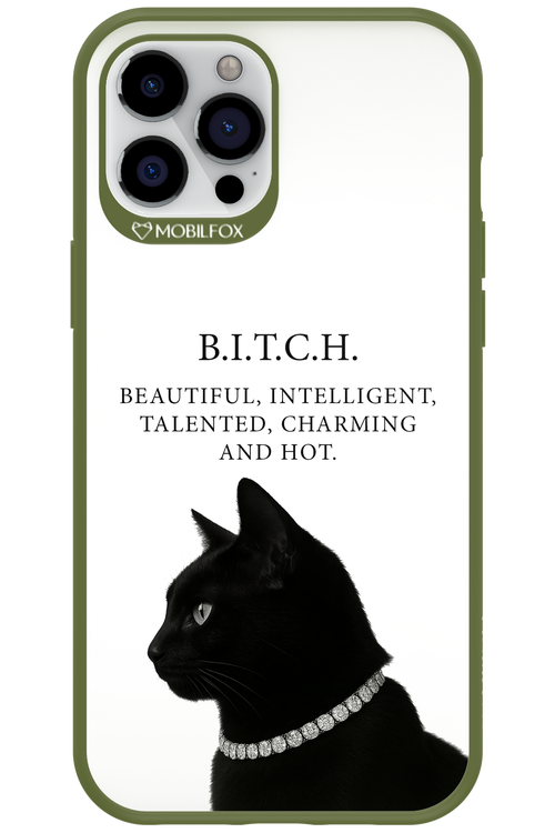 B. i. t. c. h. - Apple iPhone 12 Pro Max