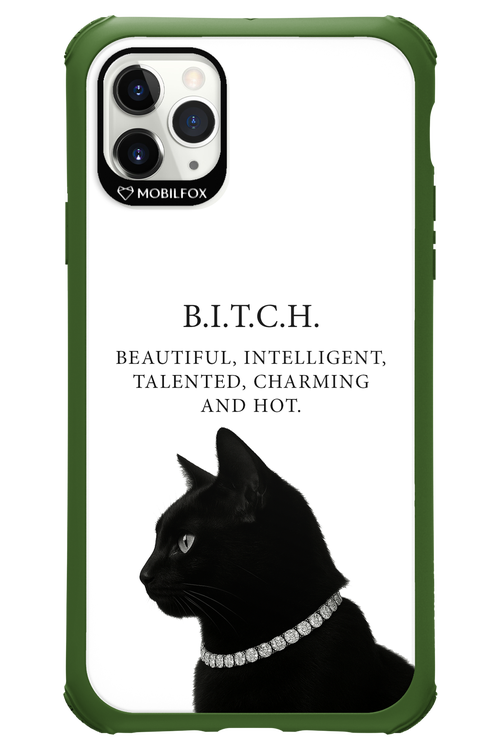 B. i. t. c. h. - Apple iPhone 11 Pro Max