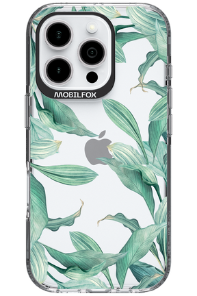 Greenpeace - Apple iPhone 16 Pro