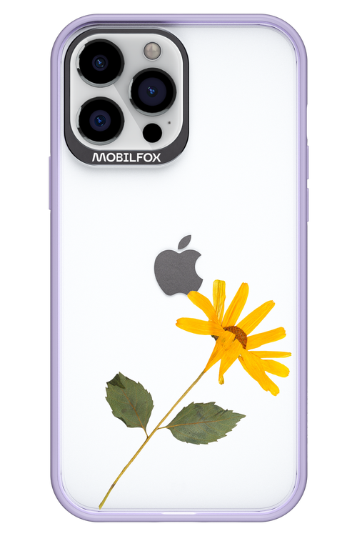 Pressed Flower - Apple iPhone 13 Pro Max