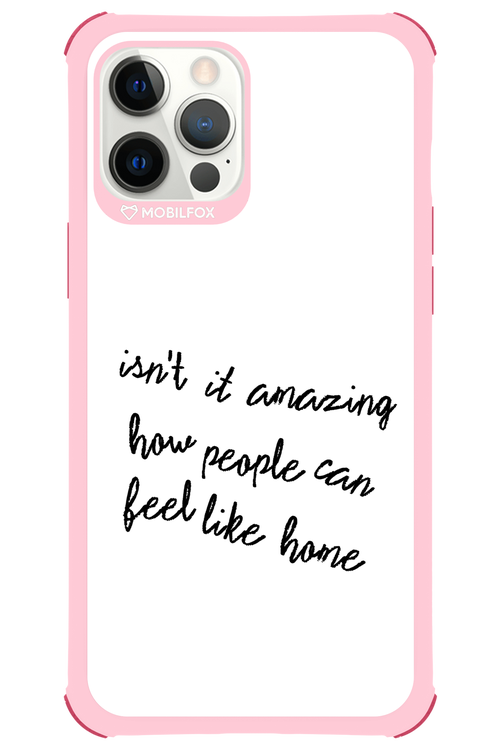 Isn't It 2.0 - Apple iPhone 12 Pro Max