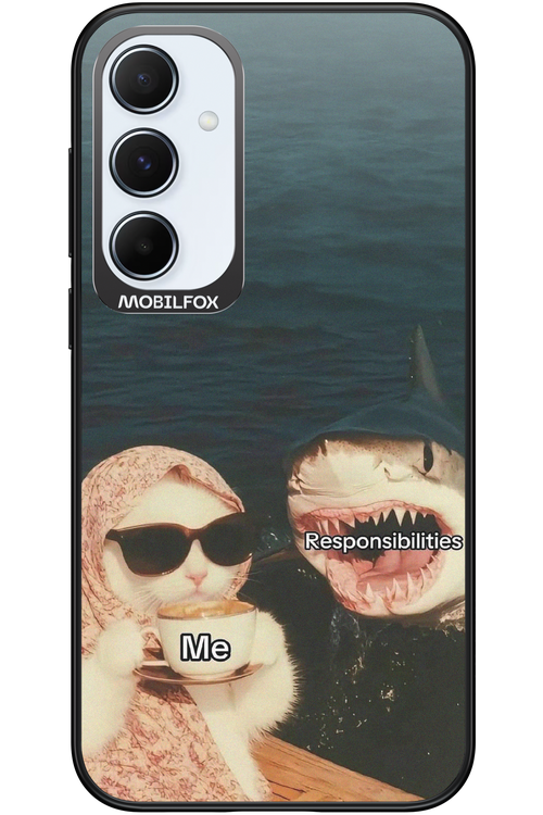 Responsibilities - Samsung Galaxy A55