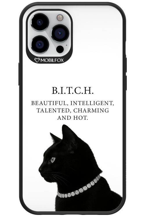 B. i. t. c. h. - Apple iPhone 12 Pro Max