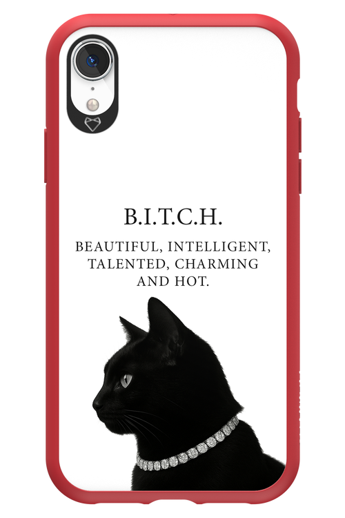 B. i. t. c. h. - Apple iPhone XR