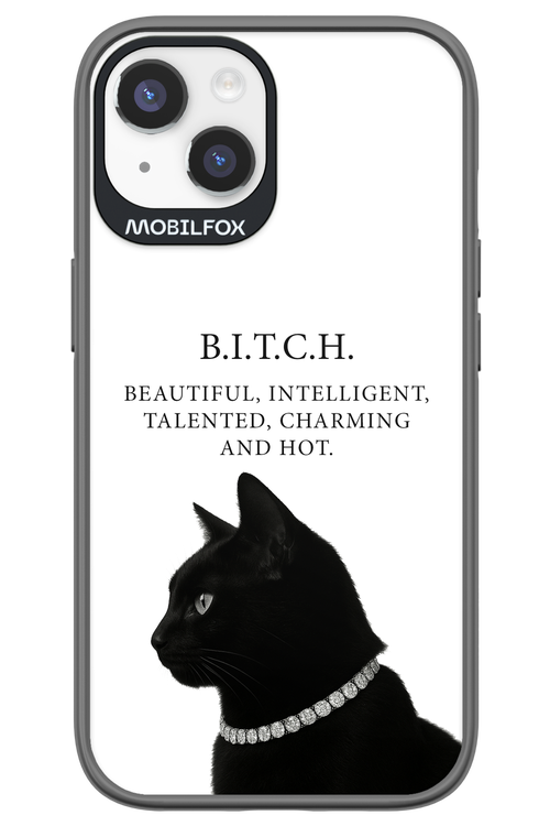 B. i. t. c. h. - Apple iPhone 14