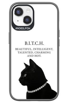 B. i. t. c. h. - Apple iPhone 14