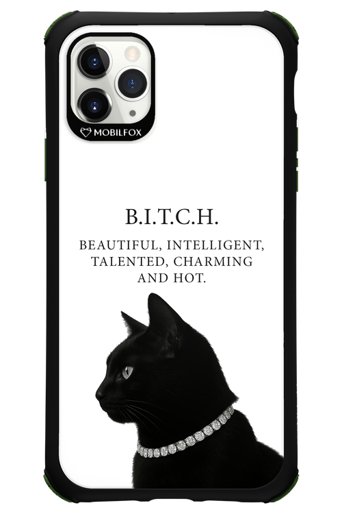 B. i. t. c. h. 2.0 - Apple iPhone 11 Pro Max