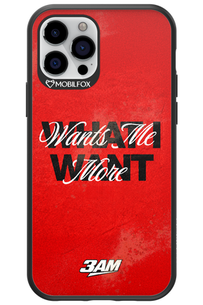 WHAT I WANT 2.0 - Apple iPhone 12 Pro