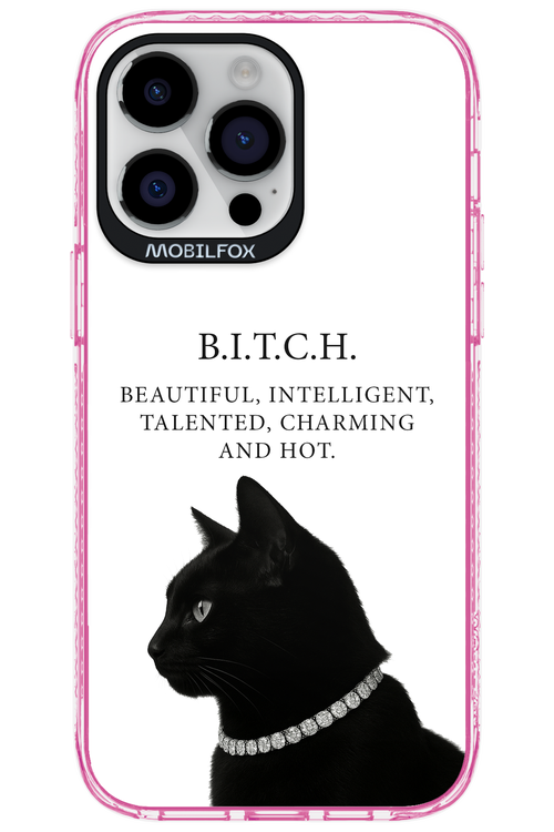 B. i. t. c. h. - Apple iPhone 14 Pro Max