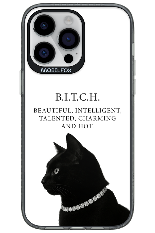 B. i. t. c. h. - Apple iPhone 14 Pro Max