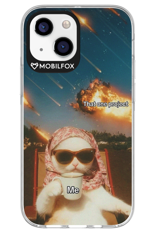 That one project - Apple iPhone 13 Mini