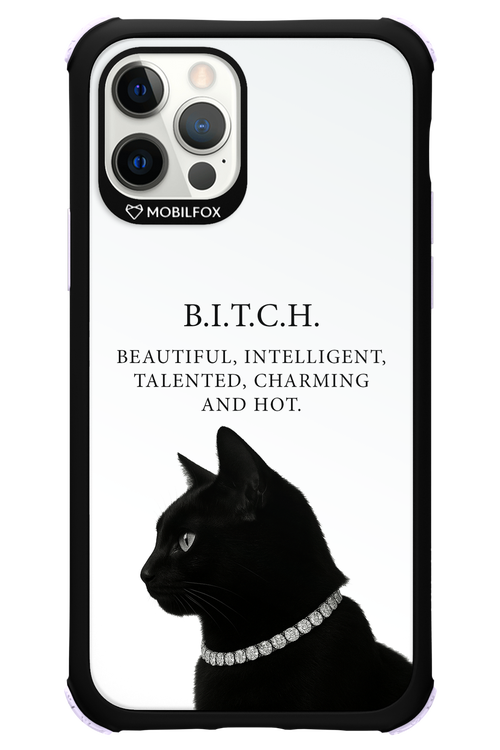 B. i. t. c. h. - Apple iPhone 12 Pro