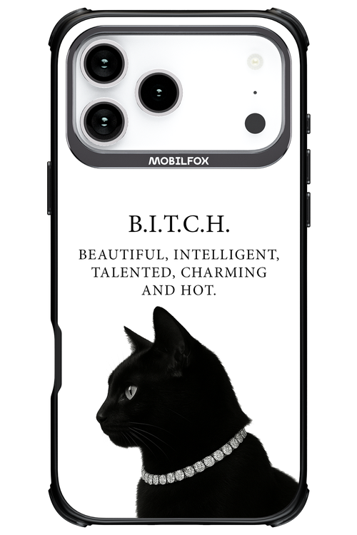 B. i. t. c. h. - Apple iPhone 17 Pro Max