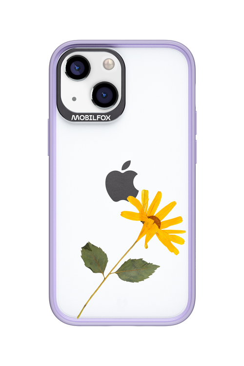 Pressed Flower - Apple iPhone 13 Mini