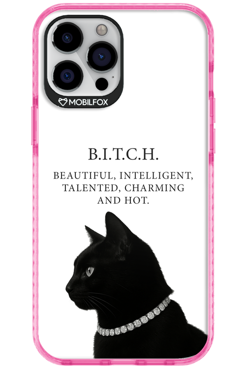 B. i. t. c. h. 2.0 - Apple iPhone 12 Pro Max