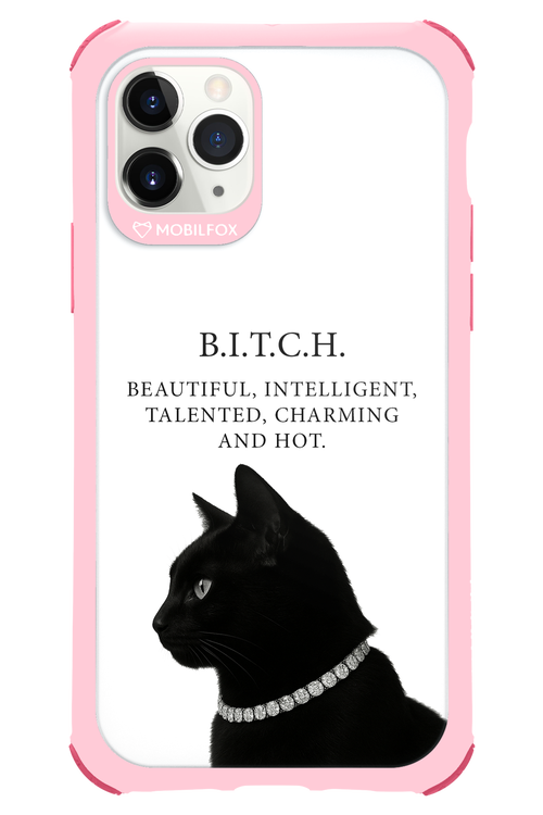 B. i. t. c. h. - Apple iPhone 11 Pro