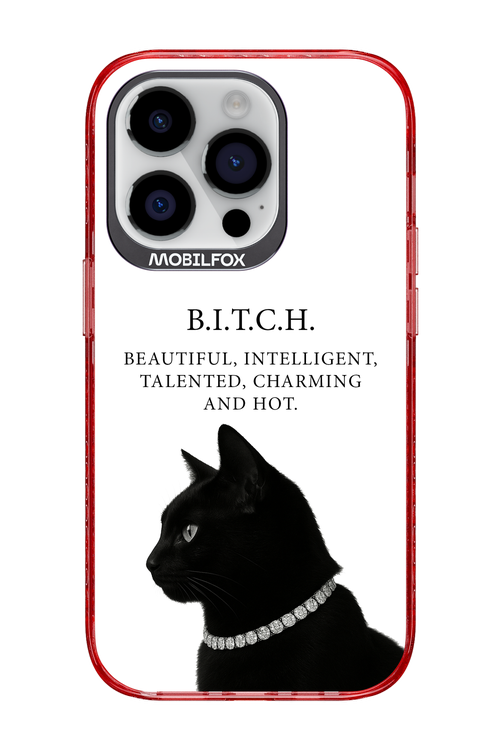 B. i. t. c. h. - Apple iPhone 14 Pro