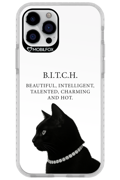 B. i. t. c. h. 2.0 - Apple iPhone 12 Pro