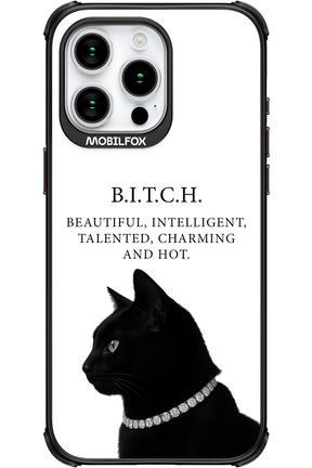 B. i. t. c. h. - Apple iPhone 15 Pro Max