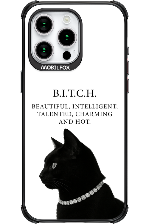 B. i. t. c. h. - Apple iPhone 15 Pro Max