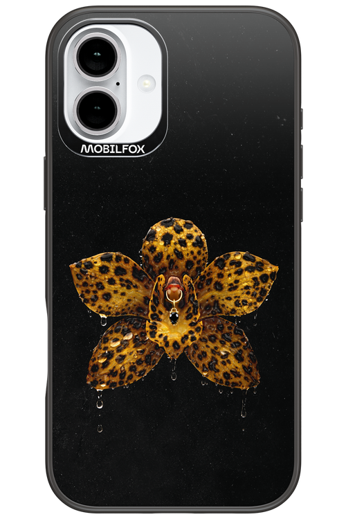 Wet & Wild 2.0 - Apple iPhone 16 Plus