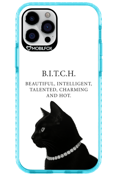 B. i. t. c. h. - Apple iPhone 12 Pro