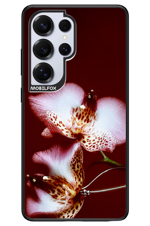 Leobloomy 2.0 - Samsung S25 Ultra