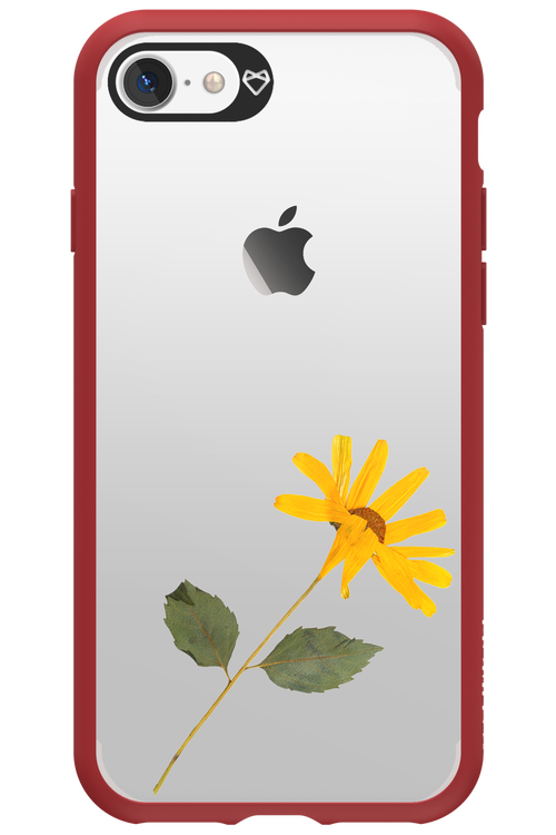 Pressed Flower - Apple iPhone 7