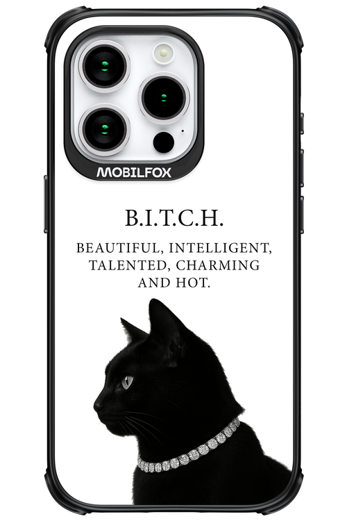 B. i. t. c. h. - Apple iPhone 15 Pro