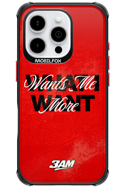 WHAT I WANT 2.0 - Apple iPhone 16 Pro