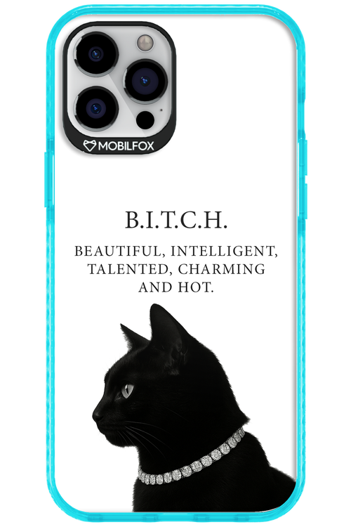 B. i. t. c. h. 2.0 - Apple iPhone 12 Pro Max