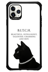 B. i. t. c. h. - Apple iPhone 11 Pro Max