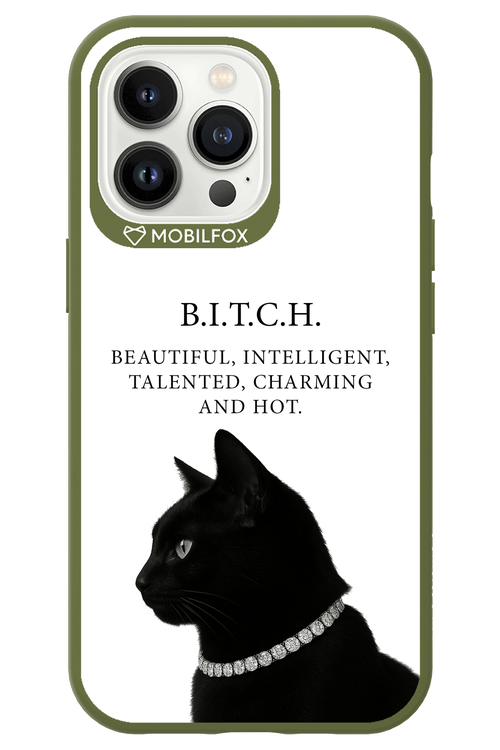 B. i. t. c. h. 2.0 - Apple iPhone 13 Pro