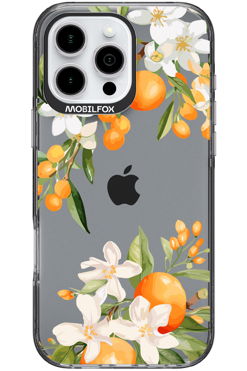 Amalfi Orange - Apple iPhone 16 Pro Max