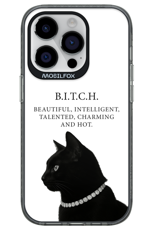 B. i. t. c. h. 2.0 - Apple iPhone 14 Pro