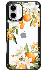 Amalfi Orange - Apple iPhone 16 Plus