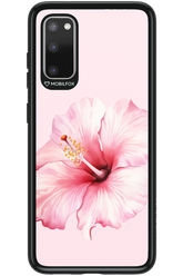 HibiPinky 2.0 - Samsung Galaxy S20