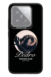 Pedro - Xiaomi 14