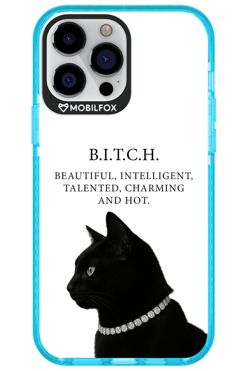 B. i. t. c. h. - Apple iPhone 13 Pro Max