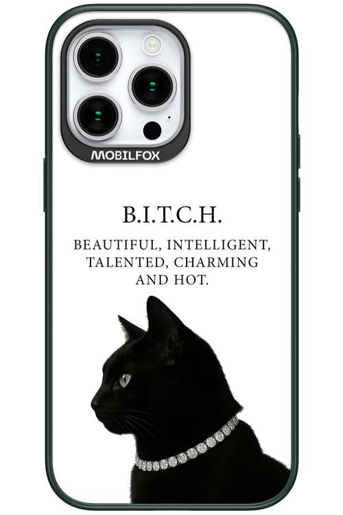 B. i. t. c. h. - Apple iPhone 15 Pro Max