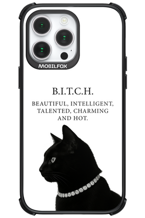 B. i. t. c. h. - Apple iPhone 14 Pro Max