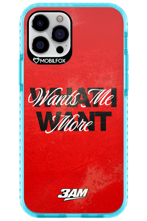 WHAT I WANT 2.0 - Apple iPhone 12 Pro