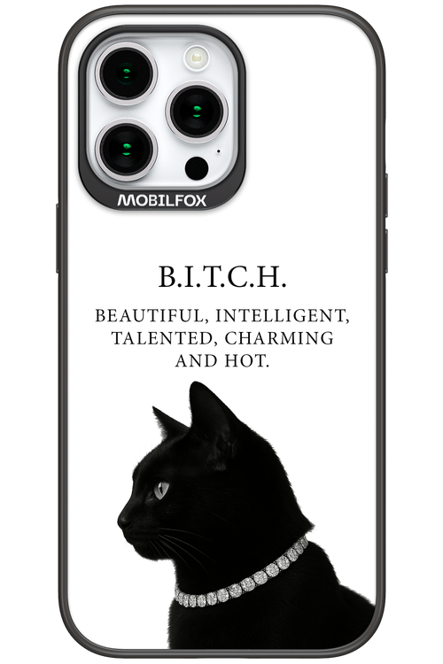 B. i. t. c. h. - Apple iPhone 15 Pro Max