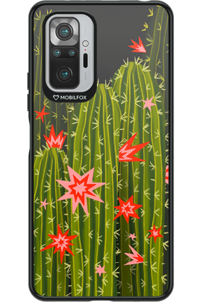 Cactus bloom 2.0 - Xiaomi Redmi Note 10 Pro