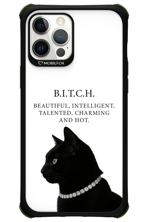 B. i. t. c. h. - Apple iPhone 12 Pro Max