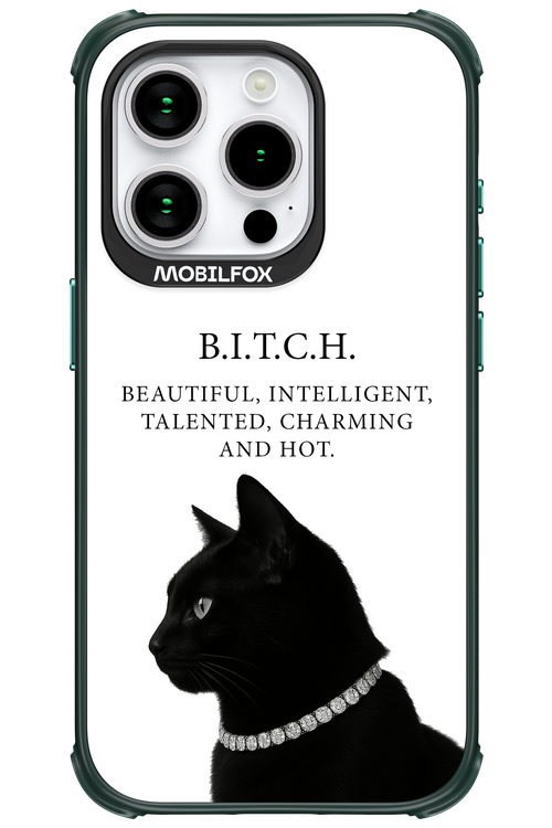 B. i. t. c. h. - Apple iPhone 15 Pro