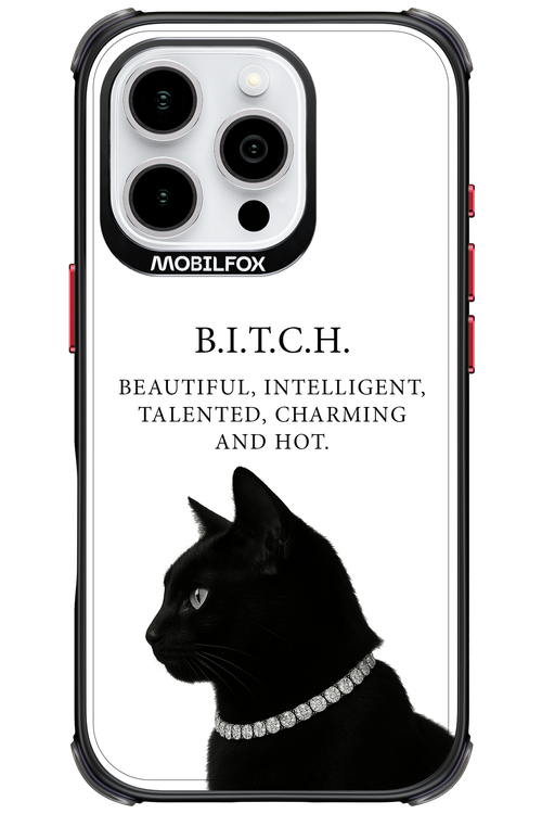 B. i. t. c. h. - Apple iPhone 16 Pro